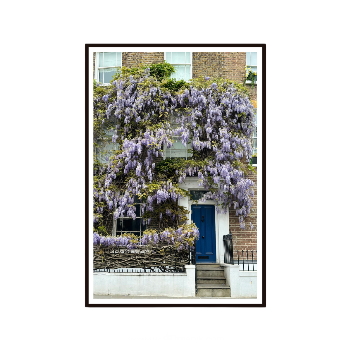 Framed photograph of a house with wisteria climbing up the facade.