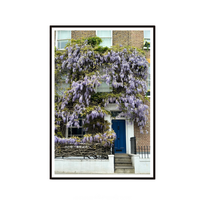 Framed photograph of a house with wisteria climbing up the facade.