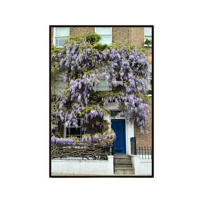 Wisteria House, Notting Hill