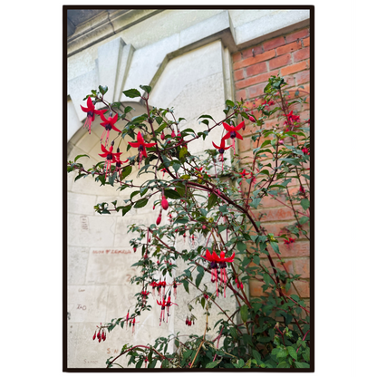 Floral wall art featuring vibrant fuchsia flowers in bloom.