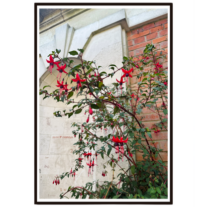 Floral wall art featuring vibrant fuchsia flowers in bloom.