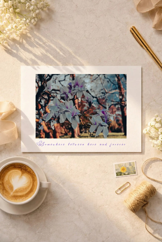 Floral postcard featuring magnolia blossoms and the phrase Somewhere Between Here and Forever.