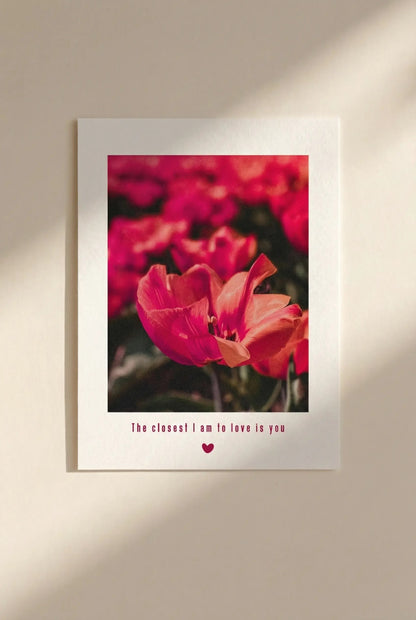 Floral artwork featured on The Closest I Am to Love Is You postcard on a beige wall.